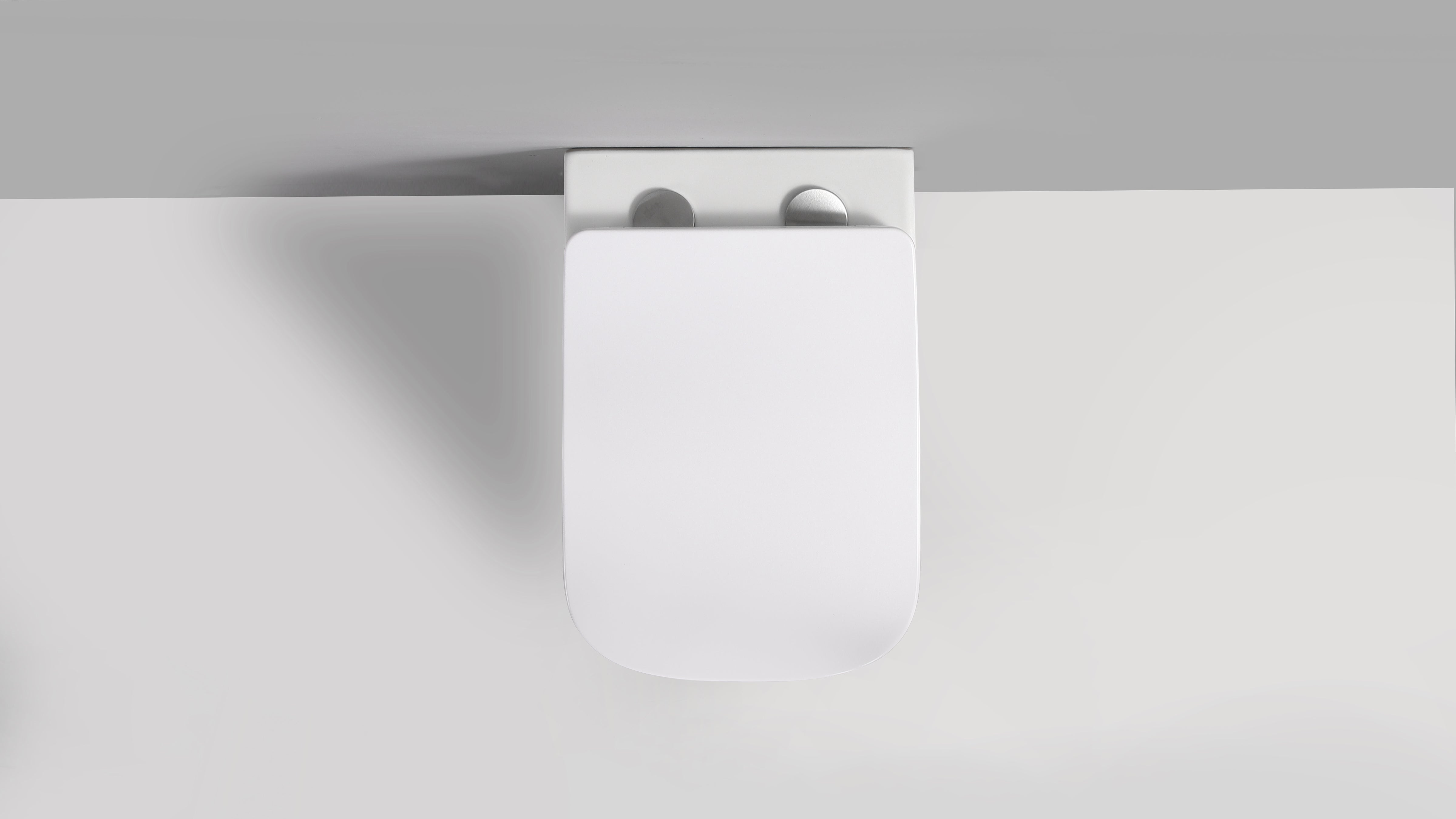 RICO WALL HUNG TOILET PAN & SEAT